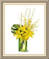 Tropical Flowers Direct, Ulaino Rd, Hana, HI 96713, (808)_248-8655